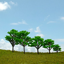 model trees